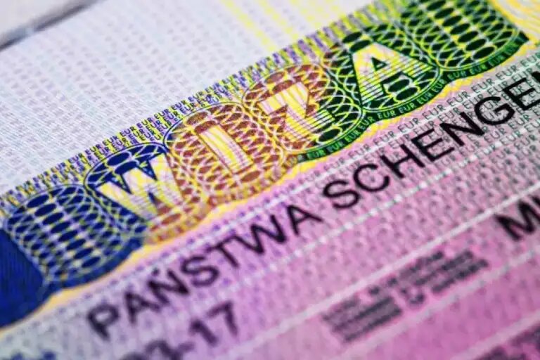    Источник: Freepik