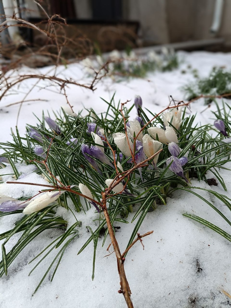 Листайте галерею по стрелке вправо 