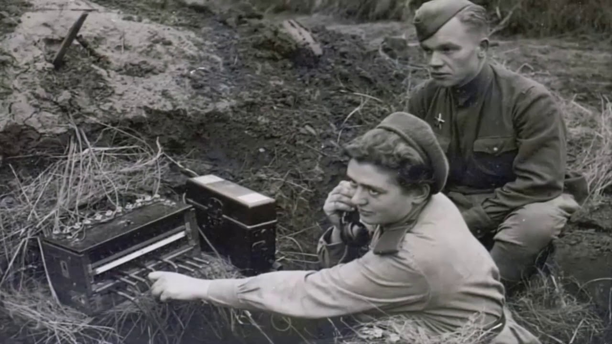 Фото: vectnik.ru