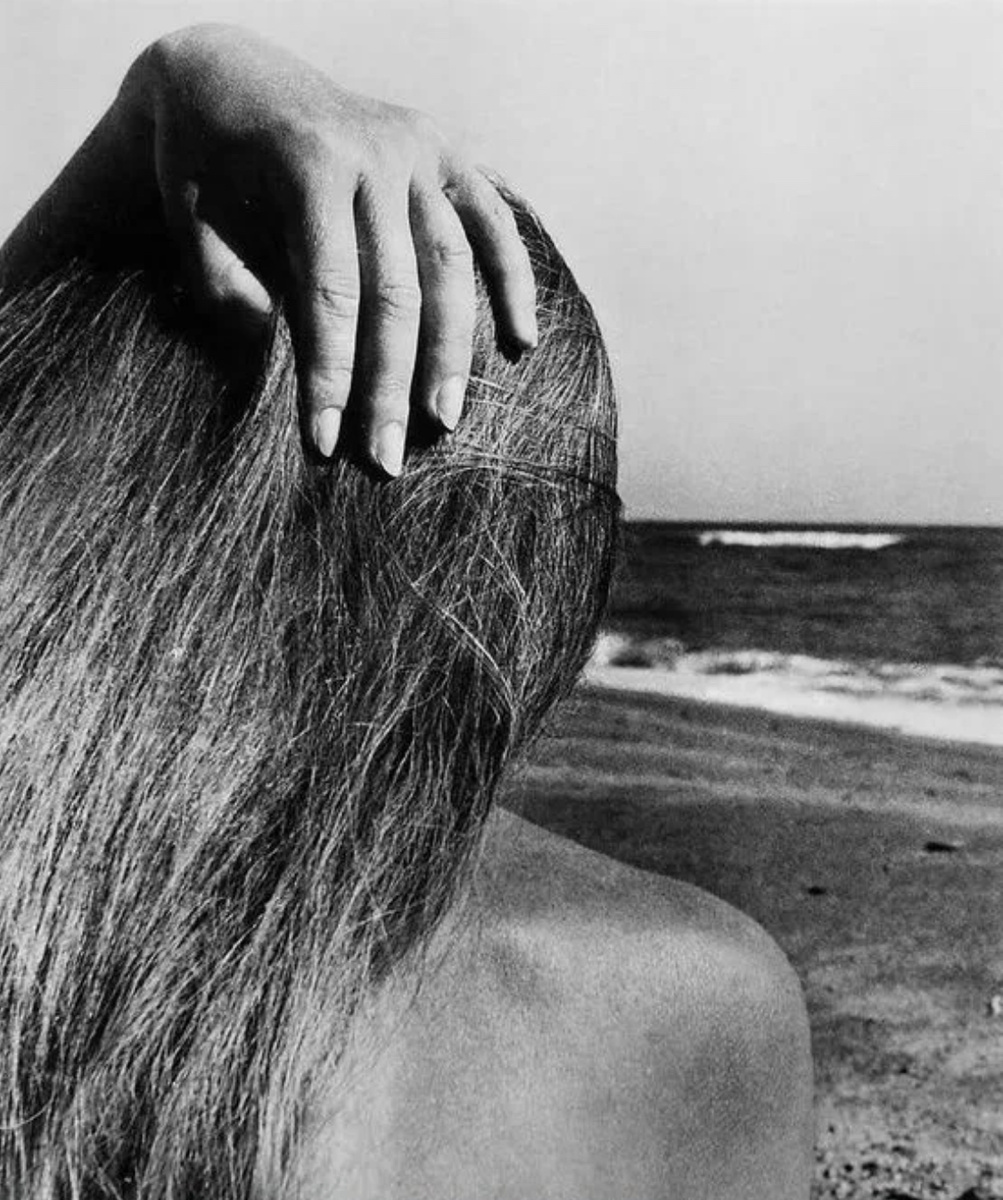 Фото: Билл Бранд