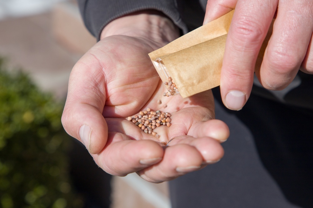 Источник фото shutterstock.com