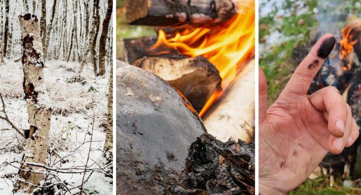    Производство березового дегтя — процесс грязный, ароматный и очень древний. Источник изображения: popsci.com