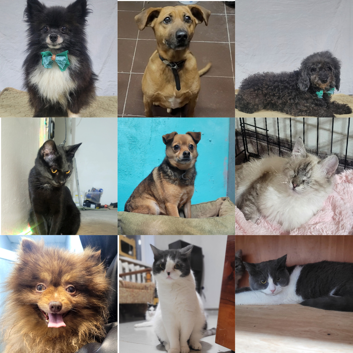 Маленькая часть кто есть у нас сейчас.