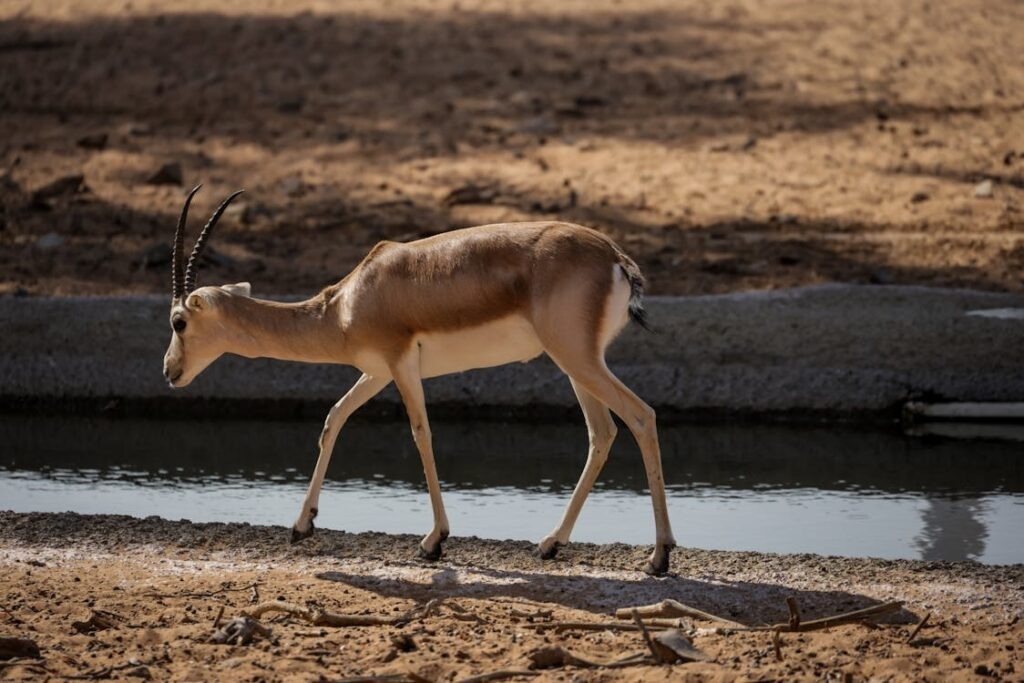    Фото: https://www.pexels.com/