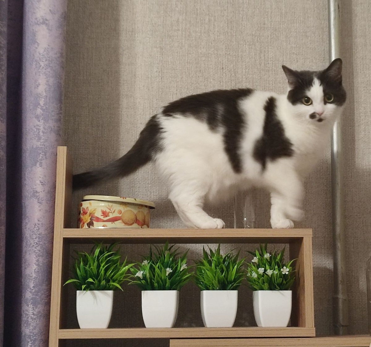 Фото из архива