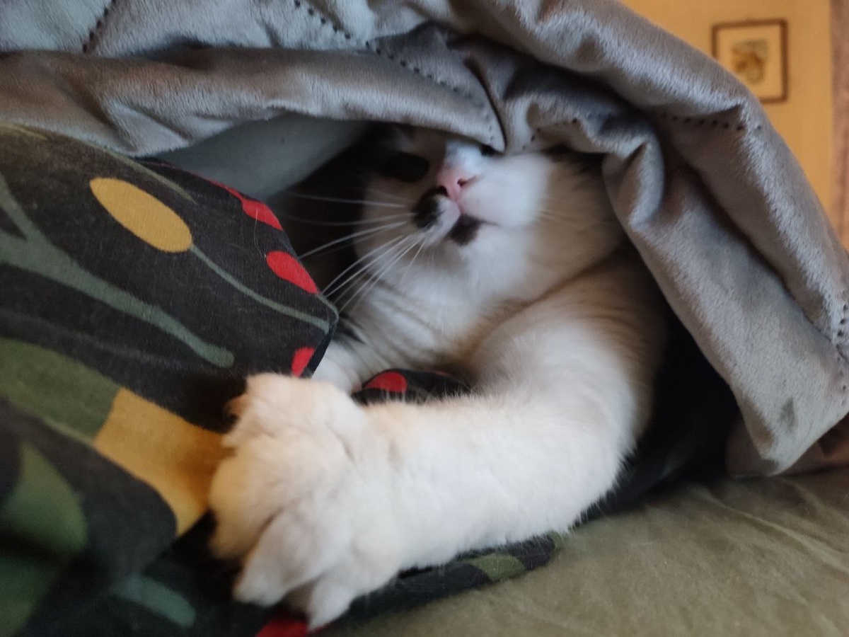 Фото из архива