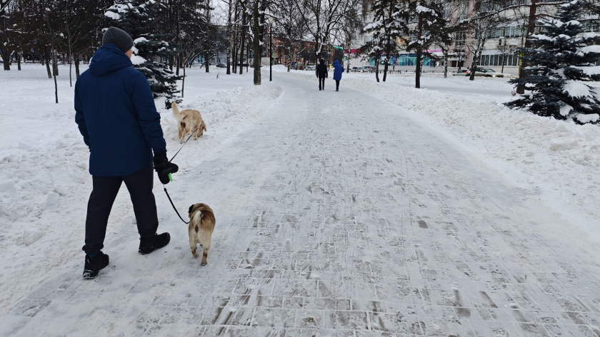    Фото progorod43.ru