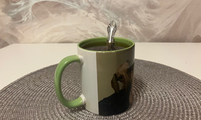    фото: © Столица на Онего