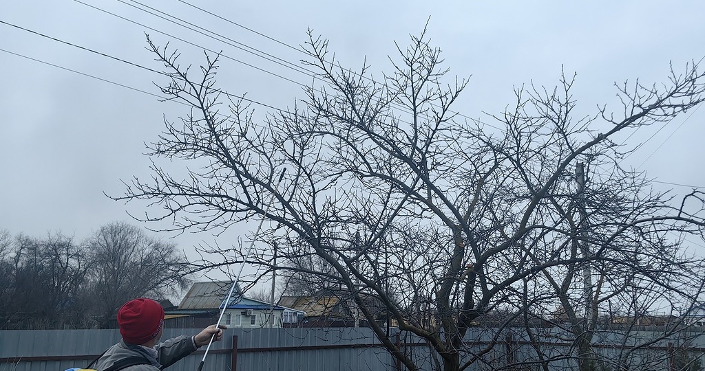 Масляная плёнка и медный щит или баковая смесь Препарата 30+ и Абига-Пик: когда спор дачников превращается в урок химии для всех садоводов