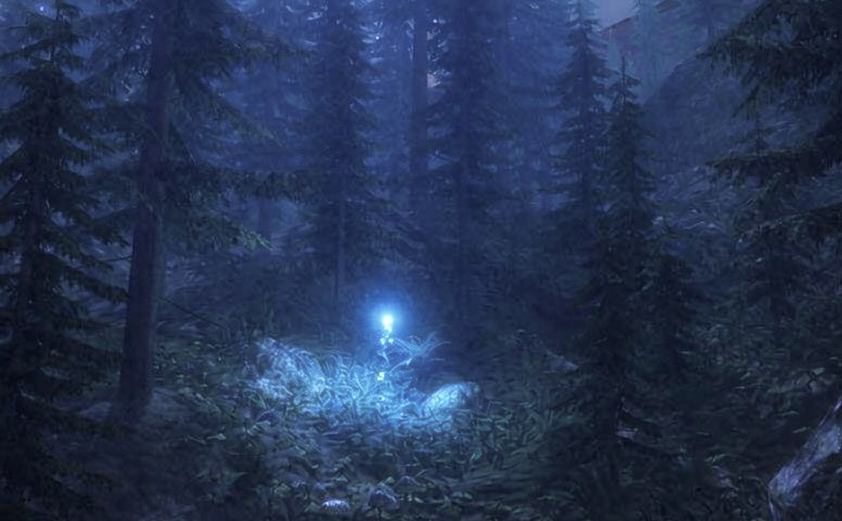 Упоминания блуждающих огней есть во многих быличках. Обычно они уводят путников глубоко в лес или в трясину.