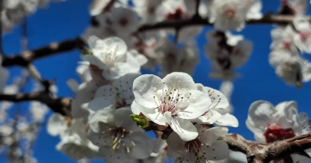 Температура выше нормы установилась на Кубани под влиянием циклона