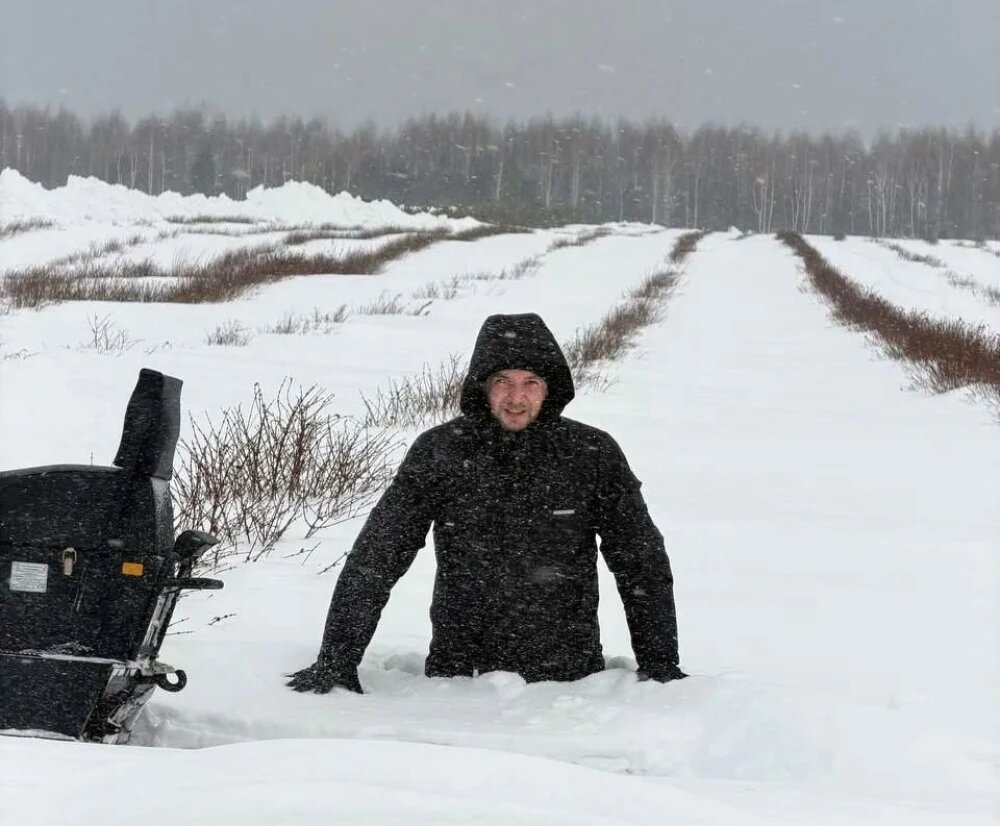    Плантация "Северного сада" в Томском районе, © предоставлено пресс-службой Аграрного центра Томской области