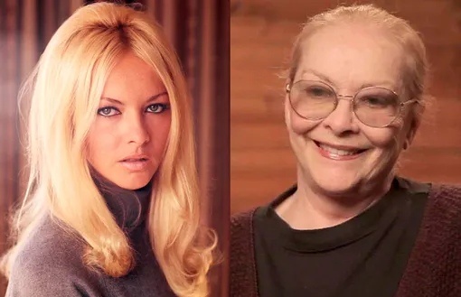 Яндекс-картинки