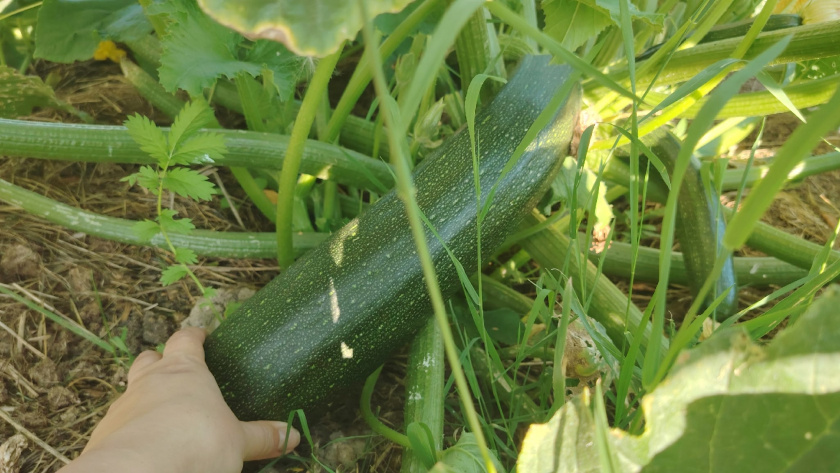    Фото из архива редакции