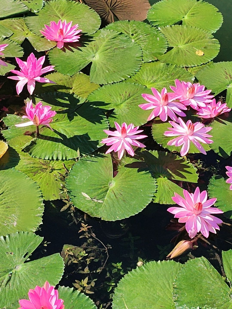 Фото из личного архива