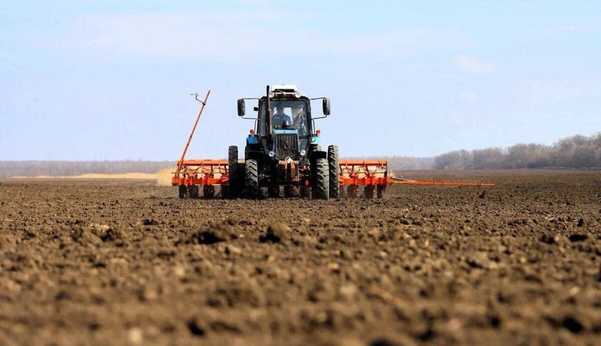    Фото пресс-службы администрации Краснодарского края