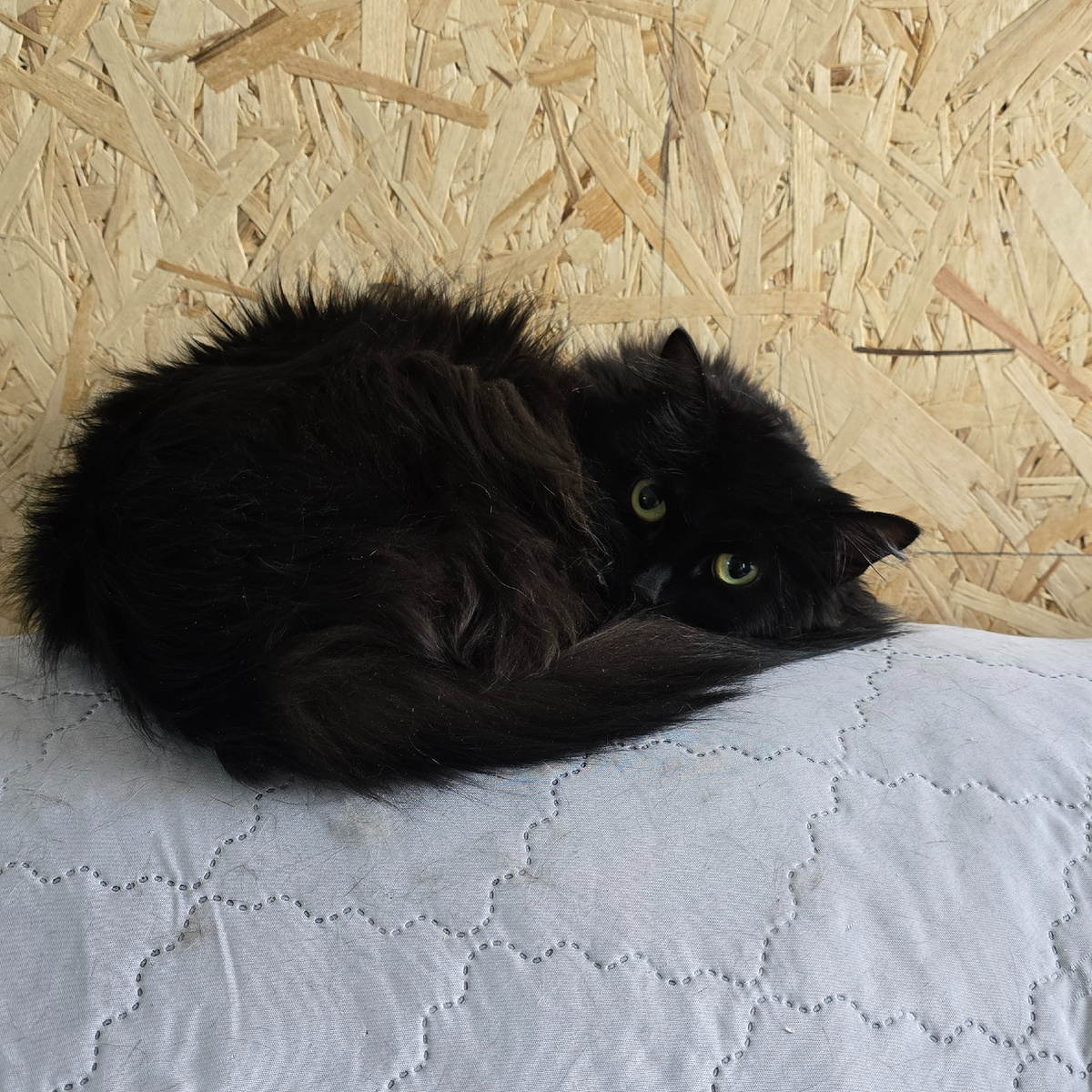 глаза полны невысказанной печали