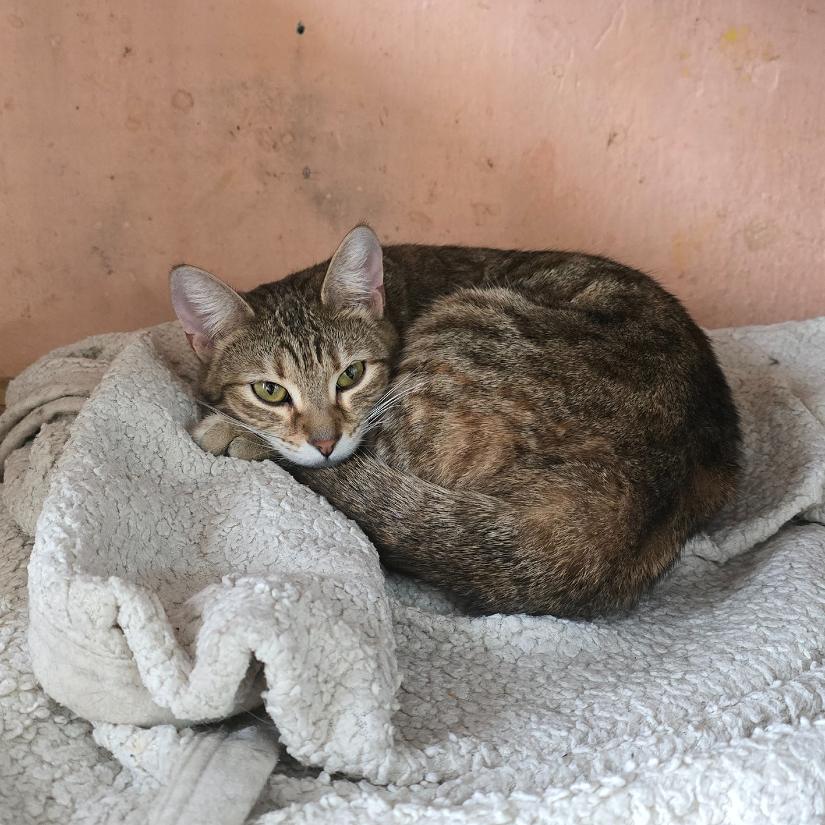 боится смотреть в глаза