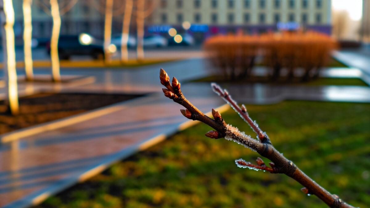    Фото - slanews.ru Юлия Андриенко