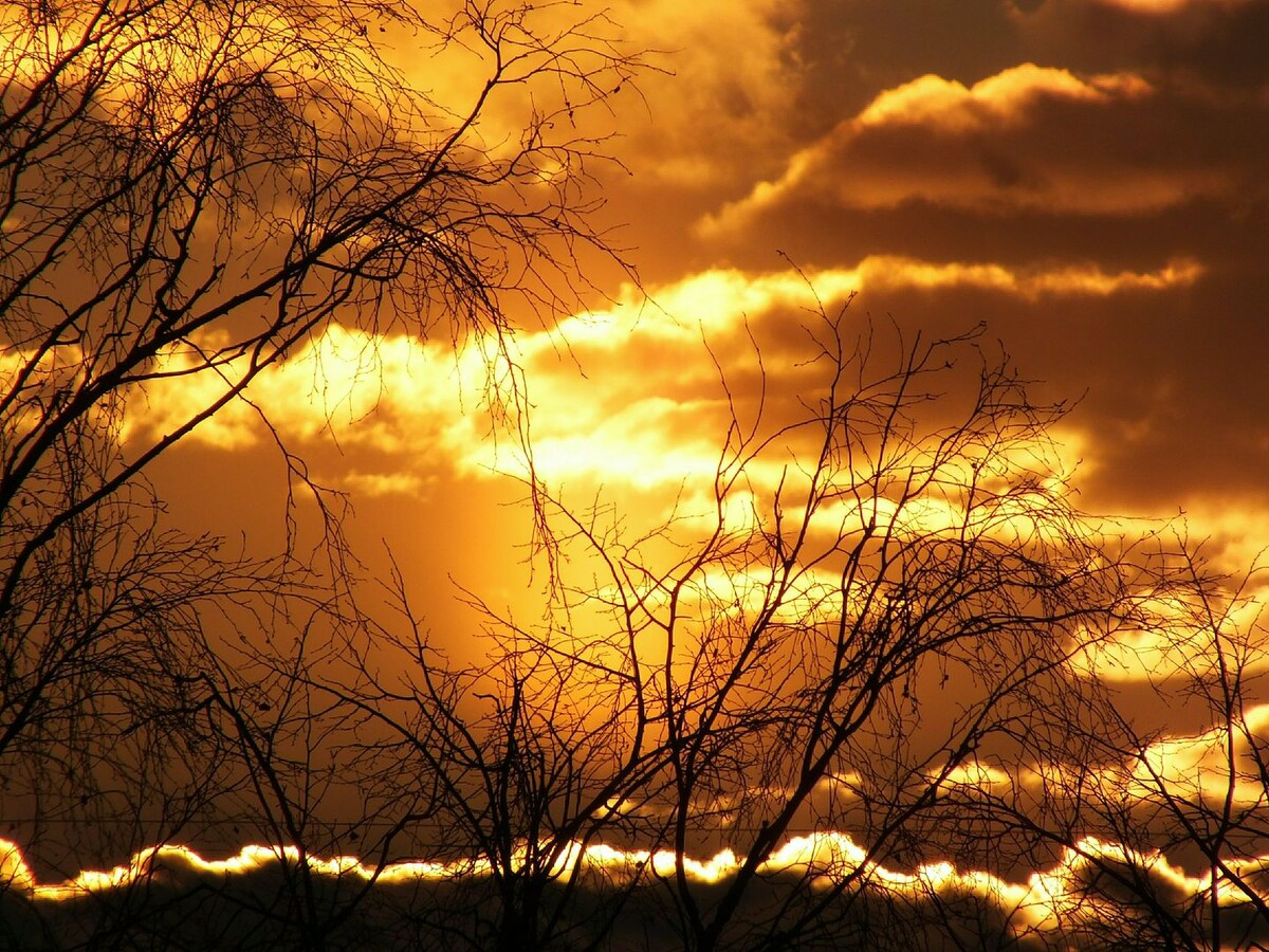     / Источник: © Global Look Press