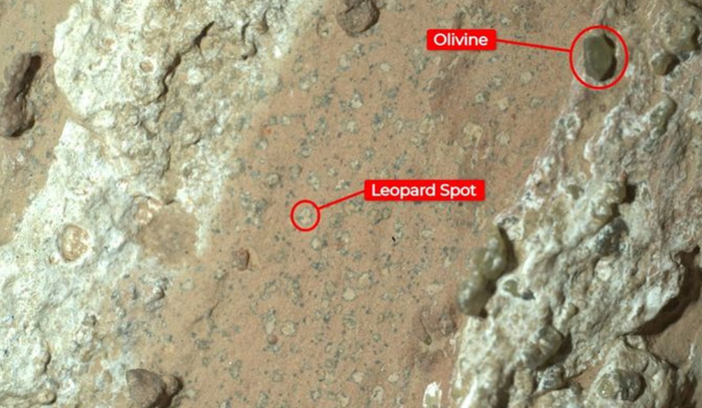 Есть ли жизнь на Марсе? Наука больше не гадает, а показывает доказательства