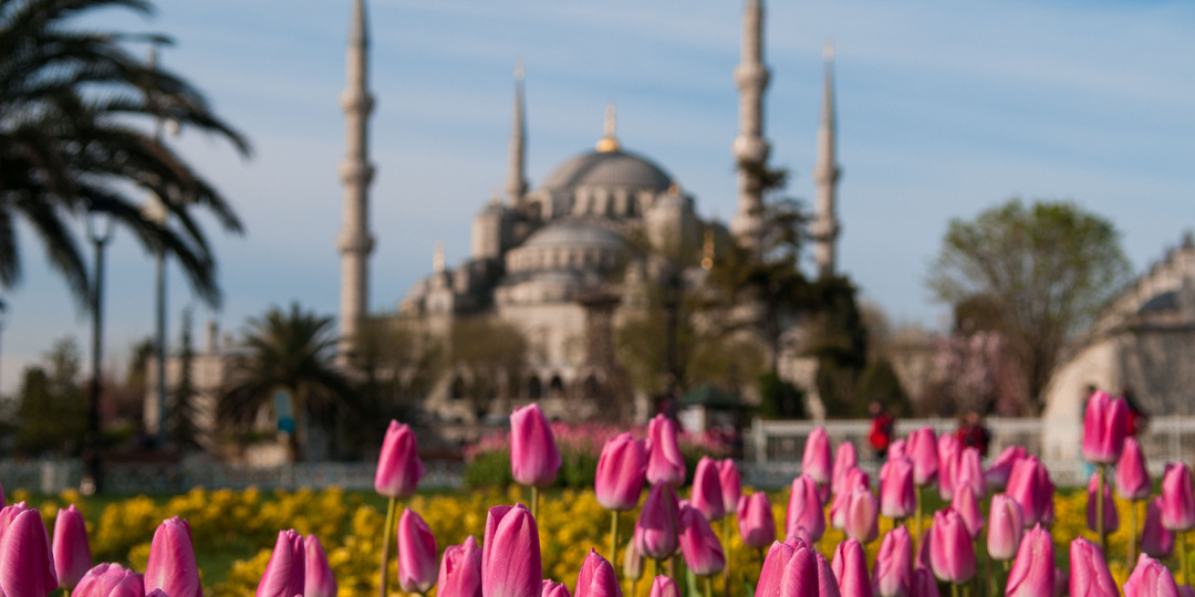Турция весной — стоит ли оно того и зачем ехать
