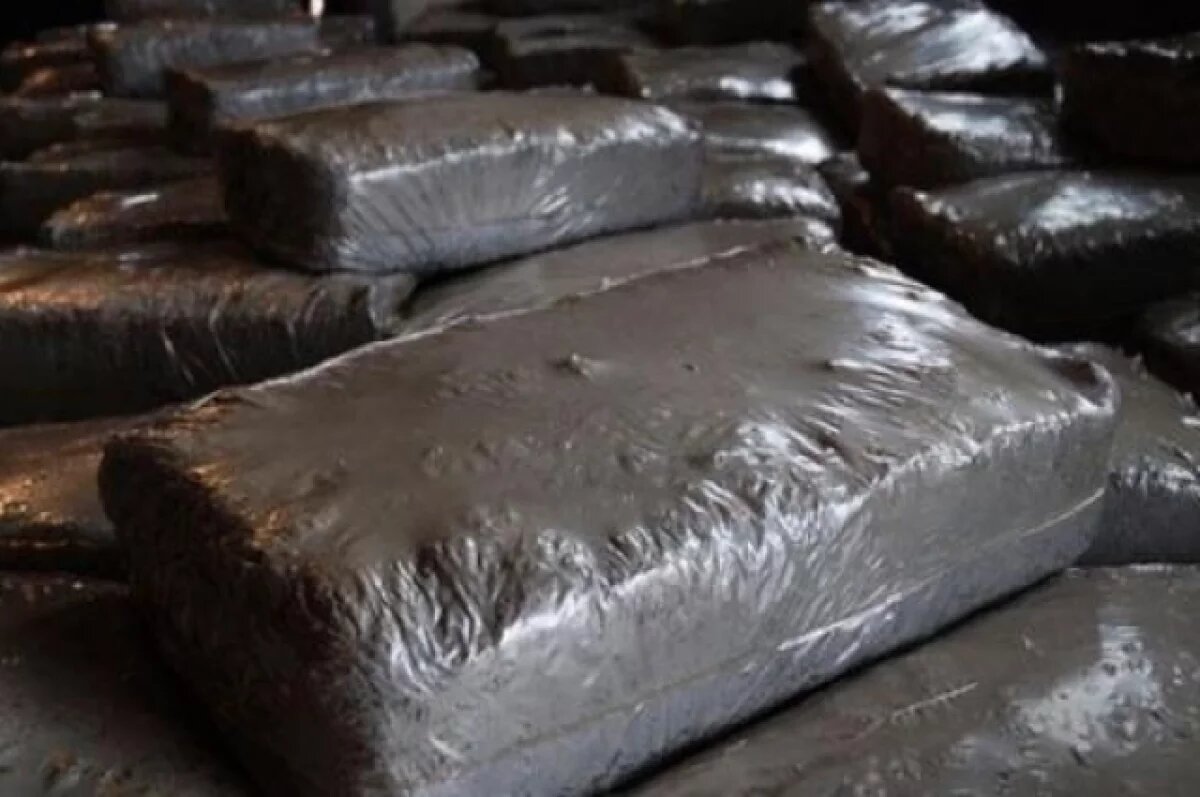    Удмуртия нарастила поставки шампиньонной грибницы в Казахстан