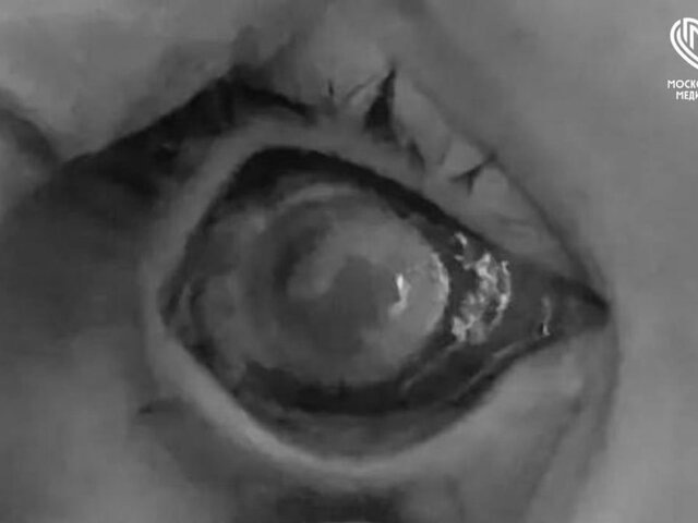    Фото: телеграм-канал "Московская медицина"