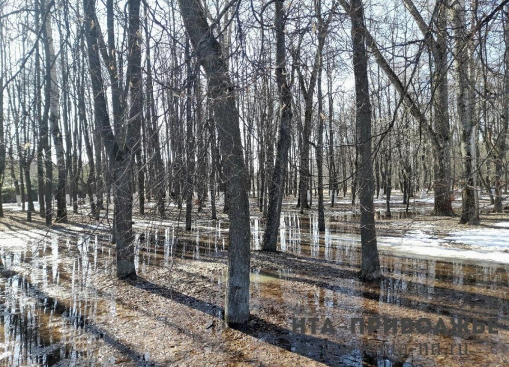    Режим повышенной готовности введен в 5 районах Саратовской области к паводку