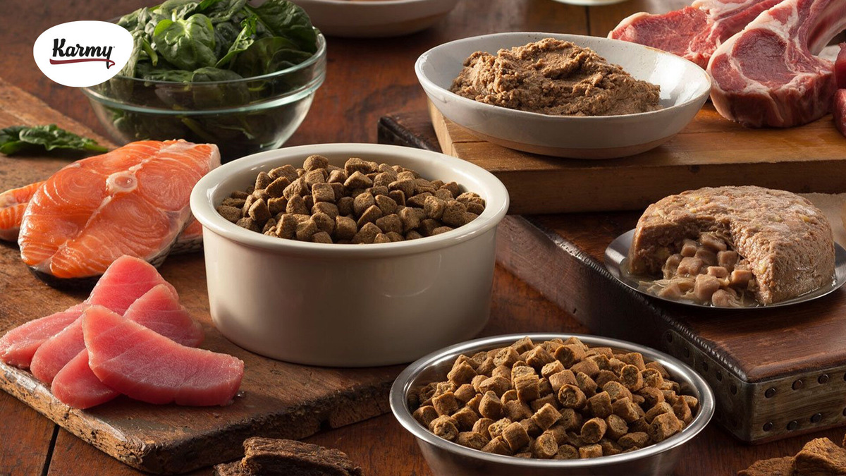 Авторское изображение с использованием картинки с сайта wellnesspetfood.com