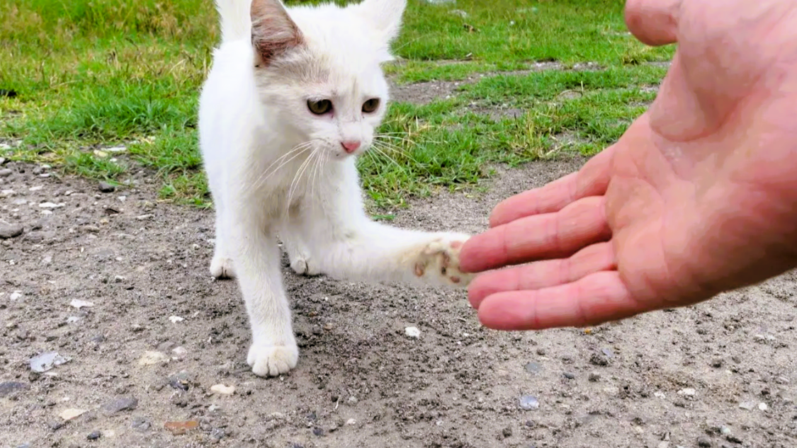 Дружить готов - прислуживаться тошно!