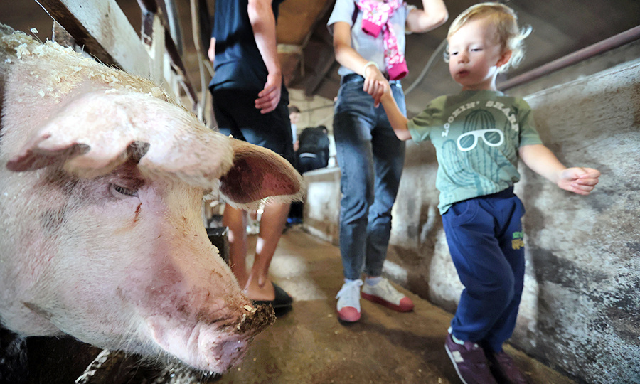    © Виталий Белоусов/РИА Новости