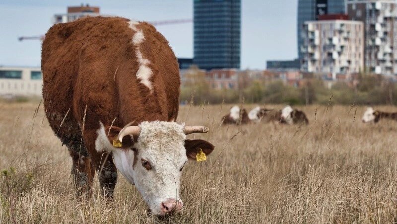      Фото: ru.freepik.com