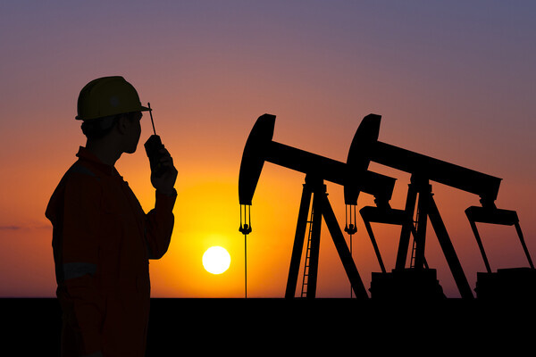 Vitchanan Photography/Shutterstock/FOTODOM   📷