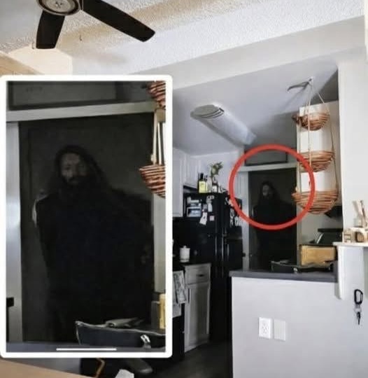 Я не поверил глазам, когда увидел эти фото.