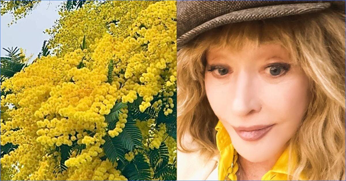 Фото из интернета