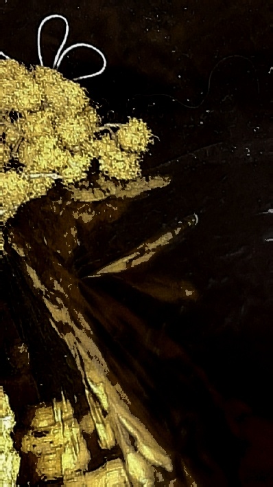 Фото автора 19.03.2026г.