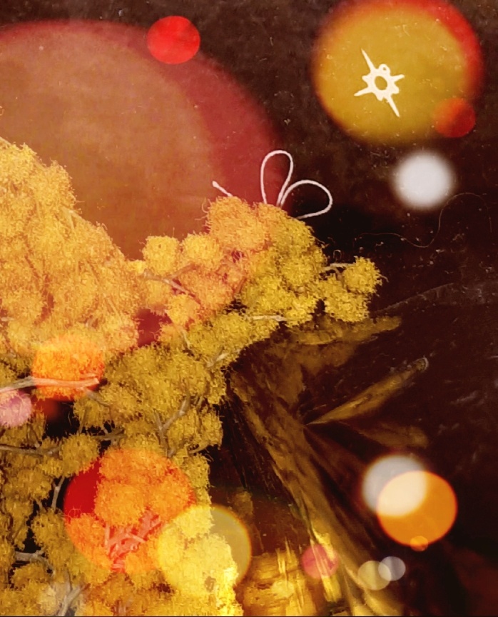 Фото автора 19.03.2026г.