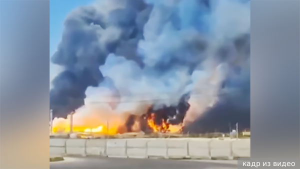     Фото: кадр из видео   
 Текст: Анастасия Куликова