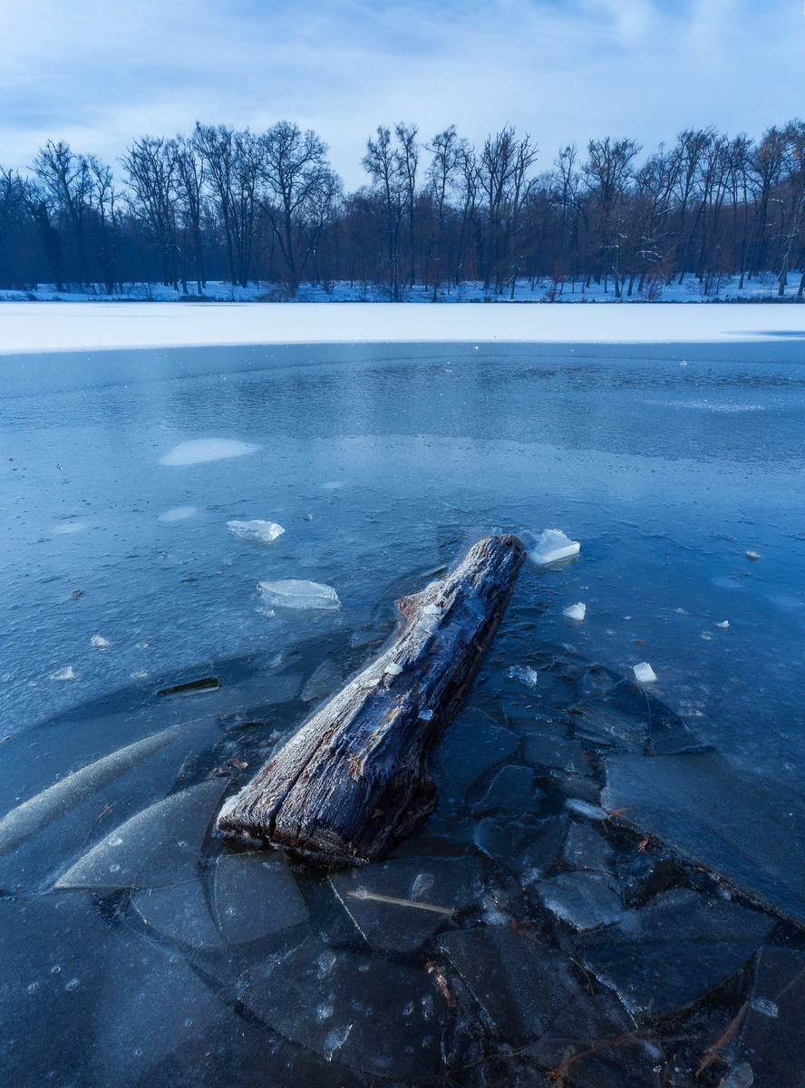 https://ru.freepik.com/free-photo/vertical-shot-piece-wood-frozen-lake-maksimir-zagreb-croatia_9185163.htm#fromView=search&page=1&position=3&uuid=c37443c3-2ea4-4f3e-8bd3-bfc765e410d1&query=%D1%80%D0%B5%D0%BA%D0%B0+%D0%BB%D0%B5%D0%B4