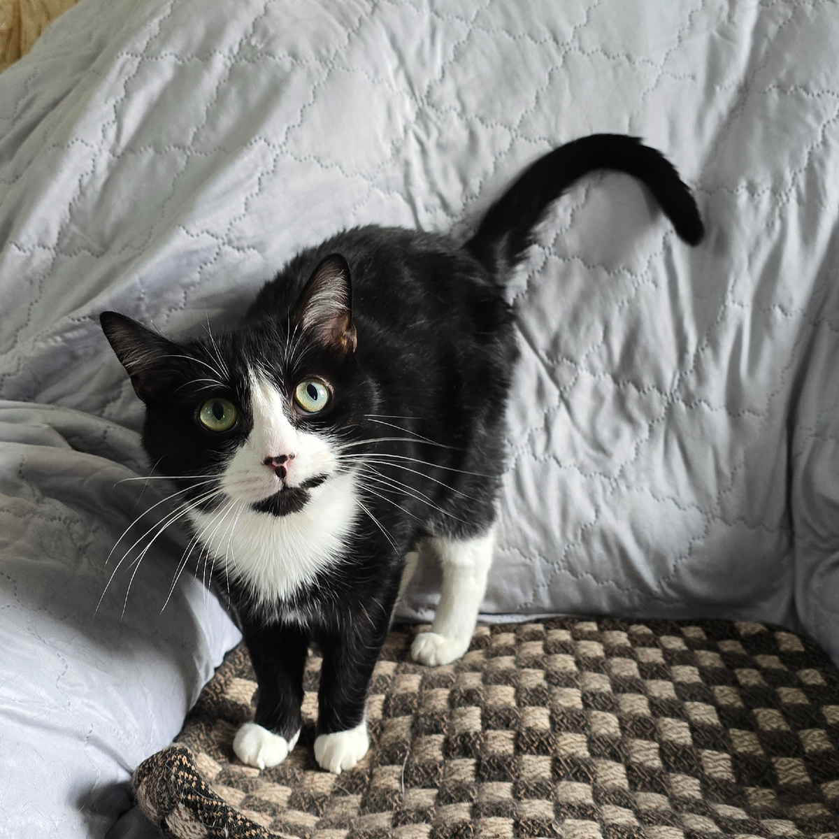 черно-белый взгляд полный ожидания и страха