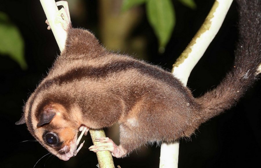    Фото: Карлос Бокоса