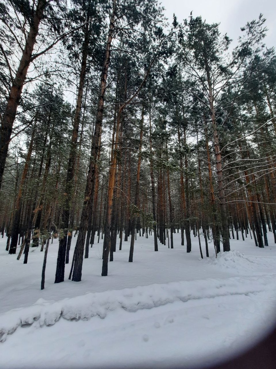 Фото автора.