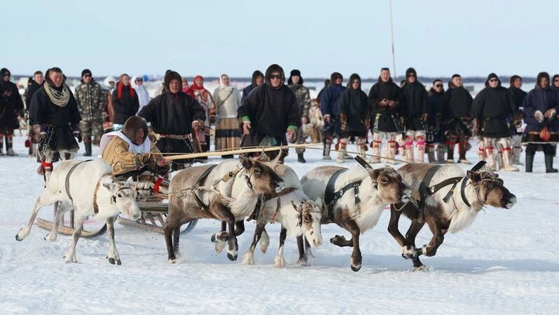    Фото: Андрей Ткачев / «Ямал-Медиа»