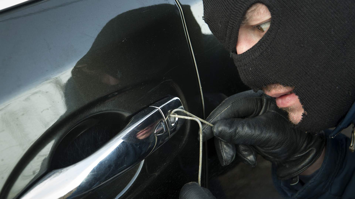 Фото: Global Look Press/Nikolay Gyngazov