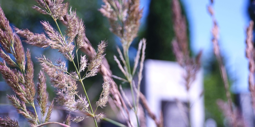 Сколько стоят похороны в России в 2026 году: разбор от эконом до премиум