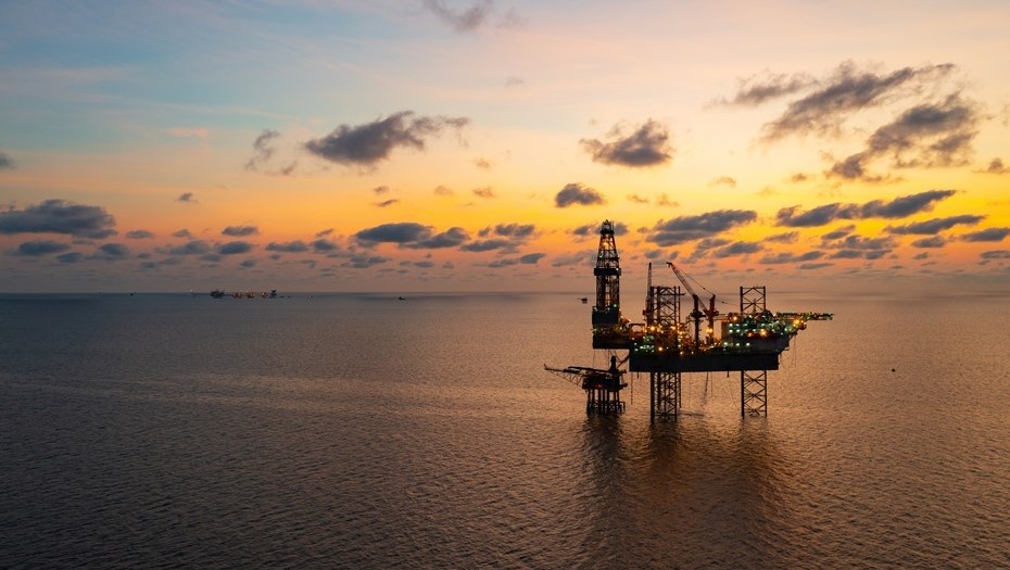    Автор фото: James Jones Jr / Shutterstock / FOTODOM