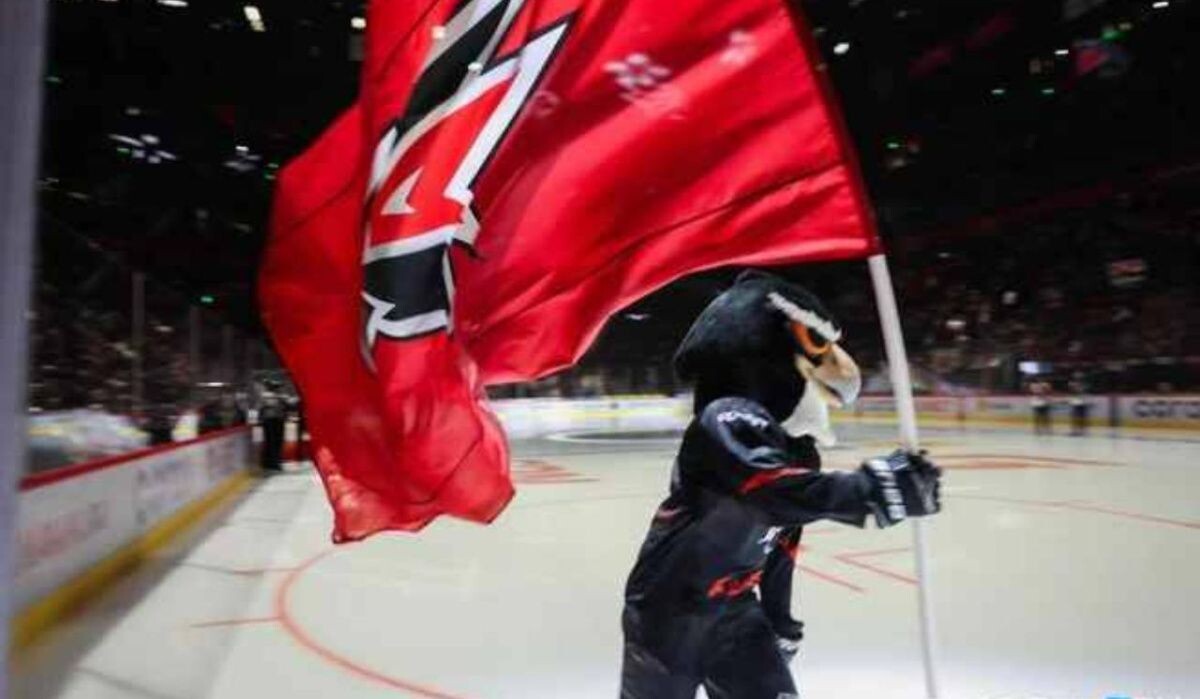     Маскот "Авангарда". Источник: ngs55.ru Автор фото: Евгений Софийчук