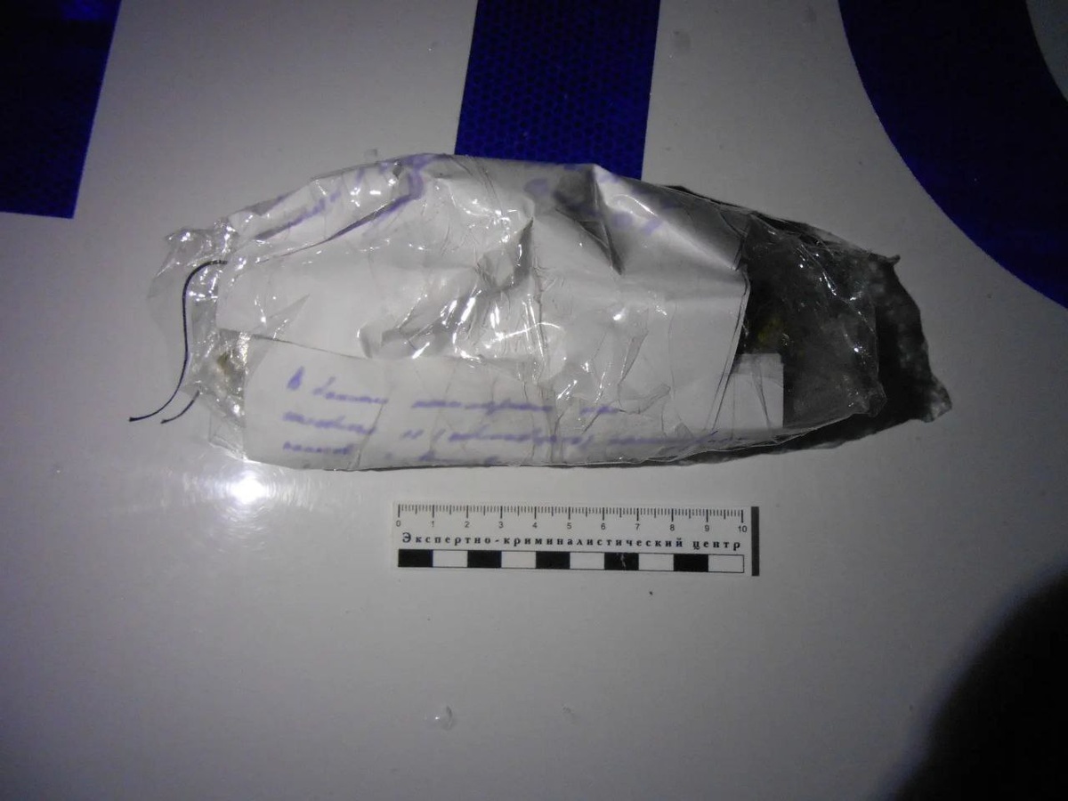     Фото предоставлено пресс-службой ГУ МВД по Воронежской области