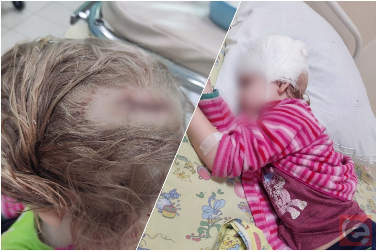    Фото: читатель "Прецедента"